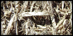 Cypress Mulch